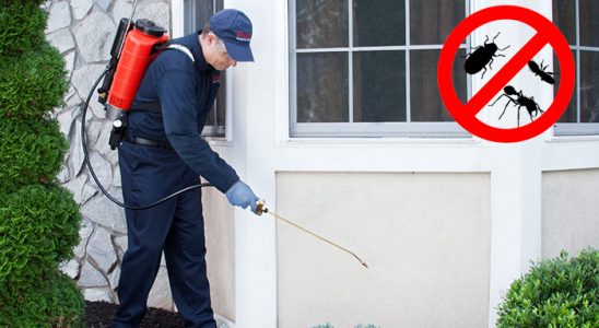 Çandır Bit İlaçlama böcek ilaçlama ve haşere kontrolü — ilaclama-tr.com